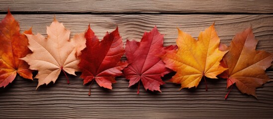 Aufkleber - A close up image of colorful autumn leaves in red and yellow hues placed on a brown wooden background with space in the center for text or other creative elements. Creative banner. Copyspace image