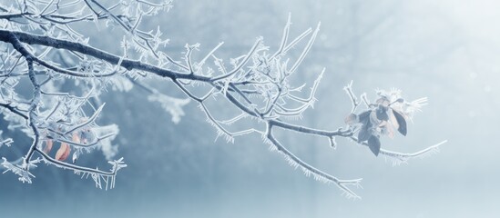 Poster - Frost covered tree branch with ample copy space image