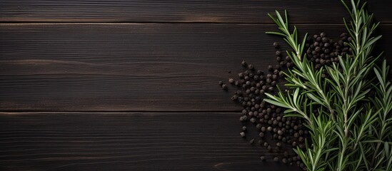 Poster - Dark wooden background with a sprig of rosemary and black pepper providing ample copy space for text