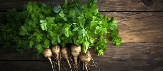 Aufkleber - A top down view of root parsley placed on a wooden background with copy space for any additional elements in the image