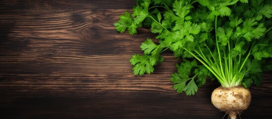 Aufkleber - A top down view of root parsley placed on a wooden background with copy space for any additional elements in the image