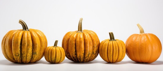Poster - Fashion pumpkins with copy space image on a white background