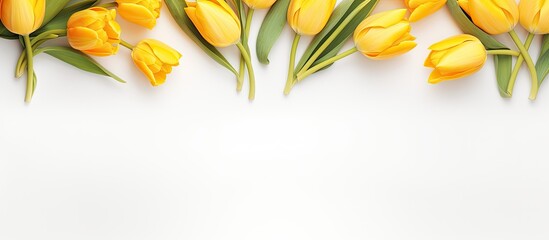 Leinwandbilder - Top view image of a delicate spring composition with yellow tulips on a white background creating a border with copy space