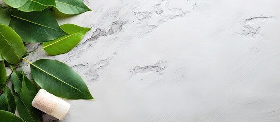 Poster - A copy space image of organic cosmetics featuring green leaves against a cement background arranged in a flat lay composition