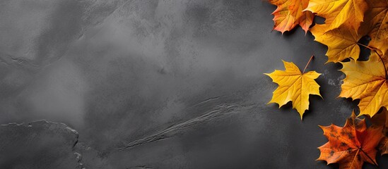 Aufkleber - Fall nature background with a copy space image featuring maple leaves in shades of orange and yellow on a gray slate tile