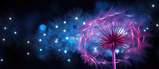 Sticker - Abstract copy space image of a large dandelion illuminated by neon pink and blue lights set against a dark background Suitable for graphic designs and desktop wallpapers featuring plants