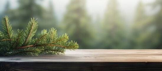 Poster - Copy space image of a fir tree branch resting on a wooden table