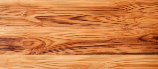 Leinwandbilder - A copy space image of a wooden texture set against a clean white backdrop