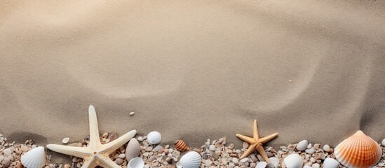 Poster - Copy space image with seashells stones and sea stars scattered on the sandy beach creating a summer beach background that evokes a travel concept
