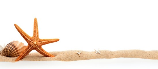 Aufkleber - A starfish is seen in a border design on a sandy beach with a copy space image It is isolated against a white background representing a vacation concept