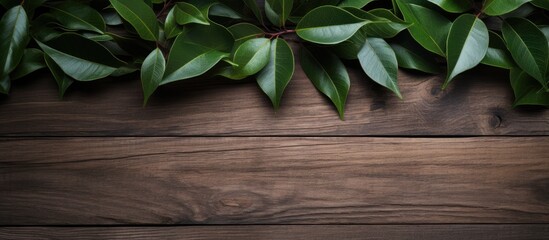 Aufkleber - Wooden background with a bouquet of fresh laurel leaves a picturesque copy space image