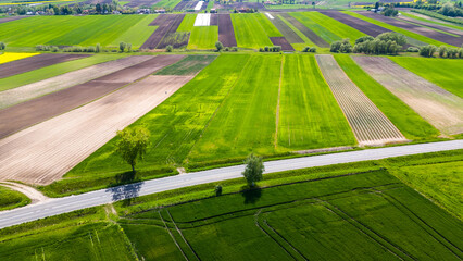 Poster - Colorful agriculture farmland and crop fields. Aerial drone view