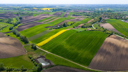 Poster - Colorful countryside and farmlands in Ponidzie region of Poland. Aerial drone view
