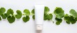 A white background showcasing an unbranded plastic tube next to fresh Gotu kola leaves creates a minimalistic design with copy space image The fresh leaves are recognized for their beneficial effects