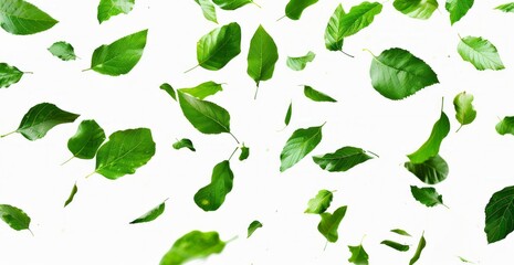 Wall Mural - A white background with green leaves scattered all over it