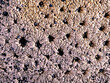 Tufa A porous calcareous tufa stone with a rough texture gently rotating to show its
