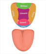Tongue and ear parts vector set, tongue and mouth cleaning vector 