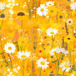 Daisy Floral Pattern, Warm Orange Background, Spring Flowers Illustration