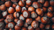 Hazelnut nut, health organic autumn background concept.