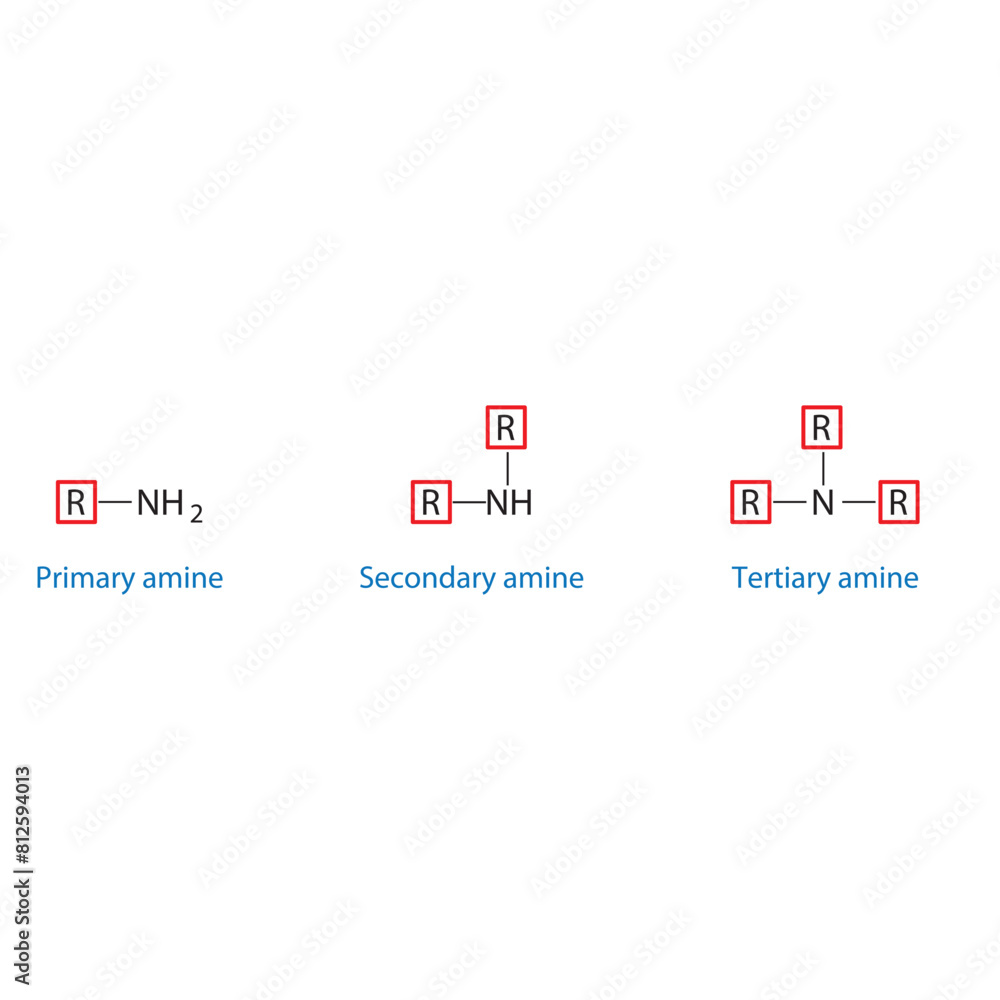 Primary, Secondary and Tertiary amine molecule skeletal structure diagram.organic compound molecule scientific illustration on white background.