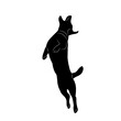 dog jumping silhouette on a white background vector