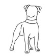 dog sketch on white background vector