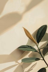 Poster - A minimalistic image of a plant casting a shadow on a textured wall, creating a serene and modern feel