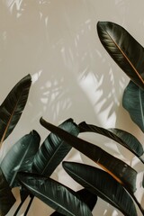 Leinwandbilder - Image showcasing elegant dark tropical leaves against a light background with soft shadows creating a serene mood