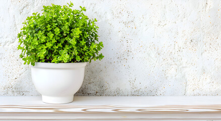 A white plant in a white pot sits on a shelf. Generative AI