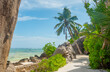 Sandy path in a paradise tropical beach
