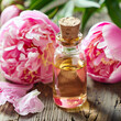 Essential peony oil in jar on wooden backgrounds