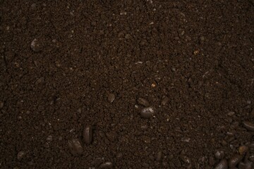 Wall Mural - Ground Coffee Backgrounds 2024