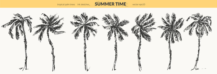 Hand drawn palm trees black ink sketch set.