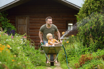 Happy little boy having fun in a wheelbarrow pushing by dad in domestic garden on warm sunny day. Child watering plants from a hose. Active outdoors games for kids in summer.