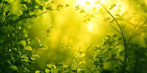 Wall Mural - close-up of dew kissed leaves glistening in the morning sun