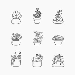 Wall Mural - Plant in pot doodle line vector illustration
