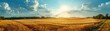 © Vodkaz - Rural field, bright and sunny day in the rural area