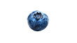 © Answertalker - Close-up of a single shiny blueberry isolated on transparent background.