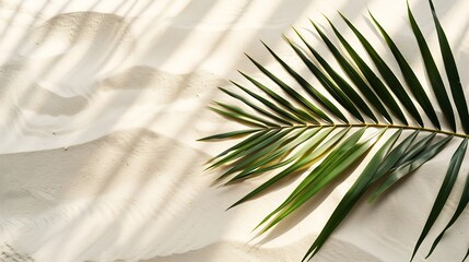 Wall Mural - Aesthetic Palm Leaf on Shadow on Sand Background Texture Copy Space Minimal Summer Concept : Generative AI