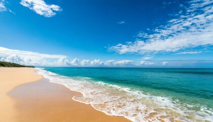 Wall Mural - blue sky over a beach with golden shore and turquoise water