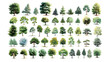 illustration set of different kinds of trees บนฉากขาว.Generative Ai