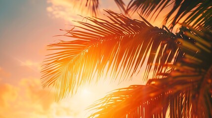 Poster - Romantic vibes of tropical palm tree with sun light on sky background Outdoor sunset exotic foliage closeup nature landscape Coconut palm trees and shining sun over bright sky Summer s : Generative AI