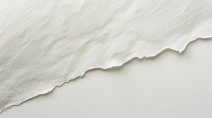 Canvas Print - A white paper texture background with a white line that is slightly curved
