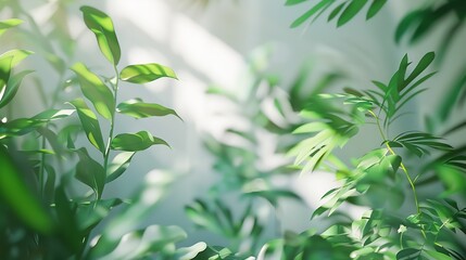 Poster - Green Plants behind the glass with lighting_ layout for printing Wide section Imitation 3d rendering : Generative AI