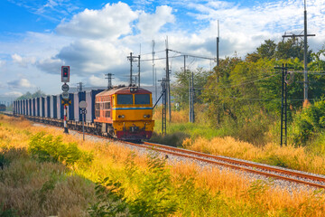 Wall Mural - Freight train wagons container locomotive travels along the railway sunny day