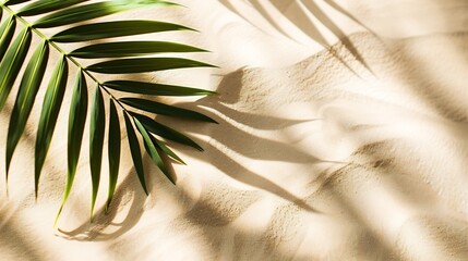 Wall Mural - Aesthetic Palm Leaf on Shadow on Sand Background Texture Copy Space Minimal Summer Concept : Generative AI