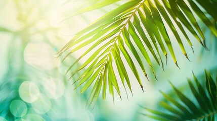 Canvas Print - Blur beautiful nature green palm leaf on tropical beach with bokeh sun light wave abstract background Copy space of summer vacation and business travel concept Vintage tone filter effe : Generative AI