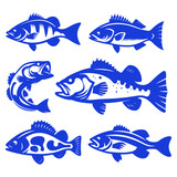 Fototapeta Dinusie - set of silhouettes Bass Fish VECTOR