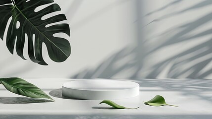 Wall Mural - Minimal modern product display on light gray background copy space Concrete podium and green leaves Concept scene stage showcase for cosmetic products skin care product presentation : Generative AI