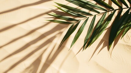 Aufkleber - Aesthetic Palm Leaf on Shadow on Sand Background Texture Copy Space Minimal Summer Concept : Generative AI